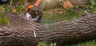 Best Aeration Services  in Sullivan City, TX